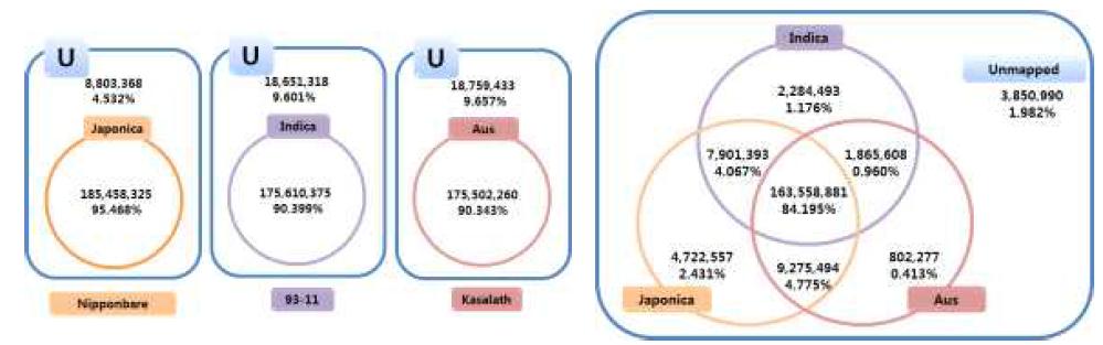 각 표준유전체를 이용한 mapping된 비율