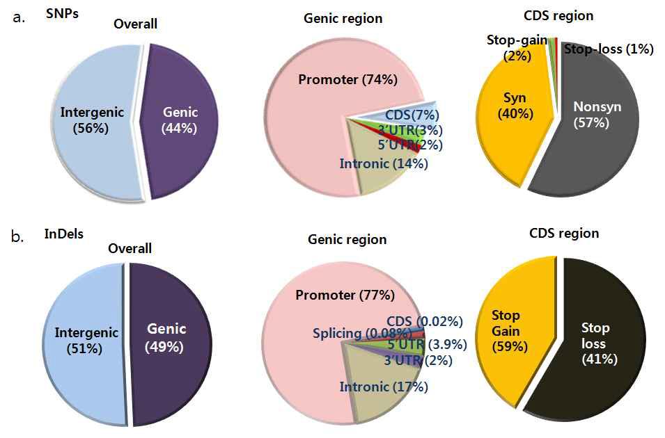 Genomic region별 SNP 및 INDEL 분포