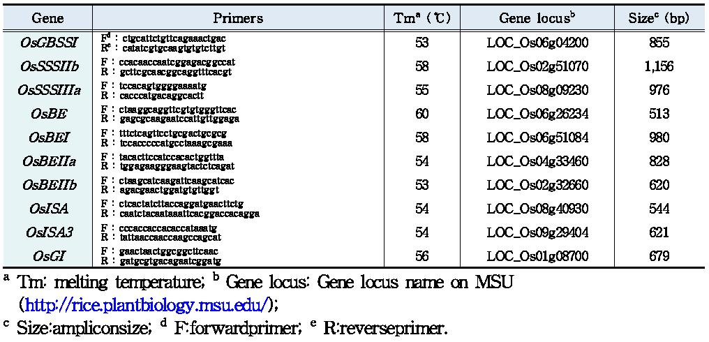 10개 전분합성 관련 유전자 관련 primer 정보