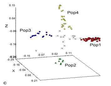 107개 자원의 Principle component analysis (PCoA) 결과