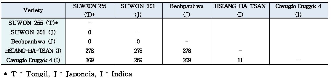 5 개체 간의 chloroplast genome sequence pair-wise 비교 분석