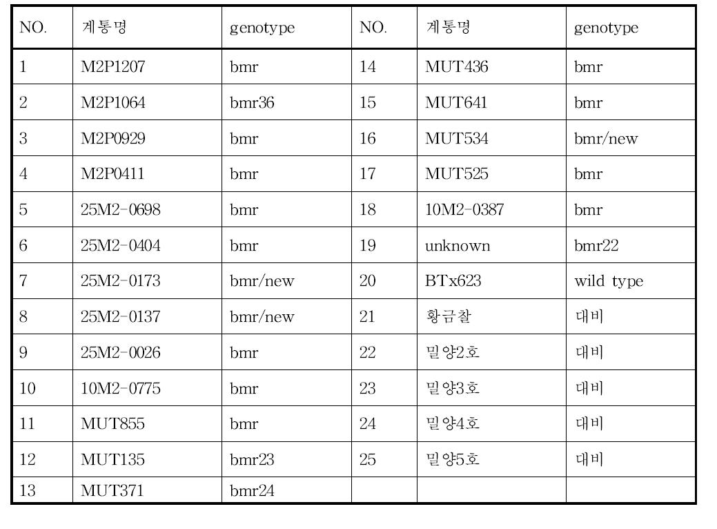 시험계통 세부내역