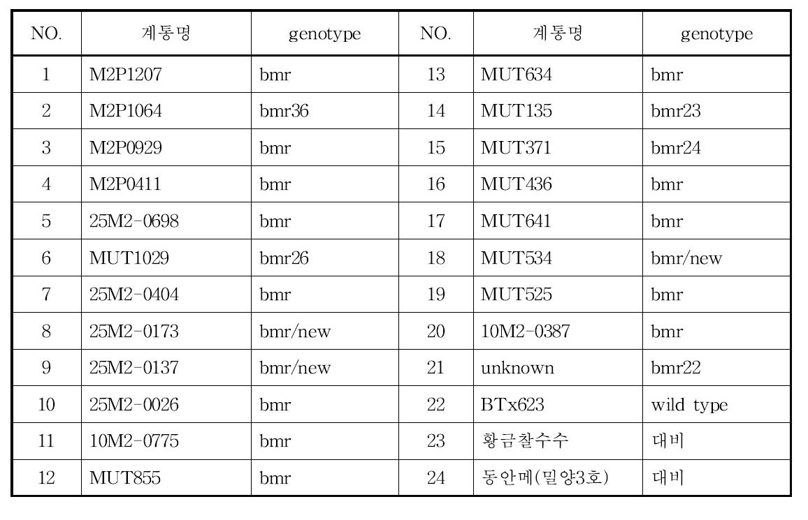 시험계통 세부내역