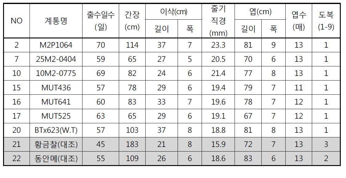 선발계통의 주요 재배적 특성 및 내재해성(2013년 하계)