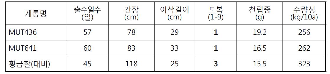 생산력검정 주요생육 및 수량특성(2013. 하계 온실)