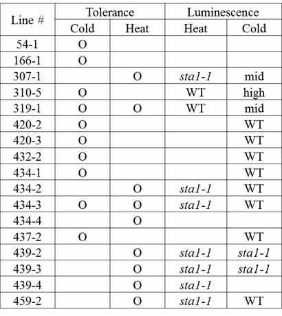 List of isolated suppressors with temperature stress tolerance and luminescence