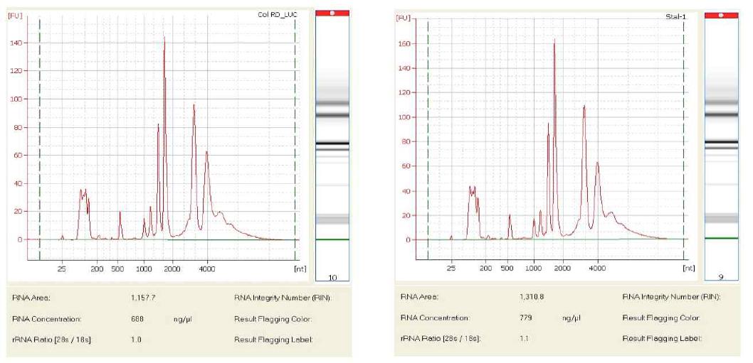 RNA quality control