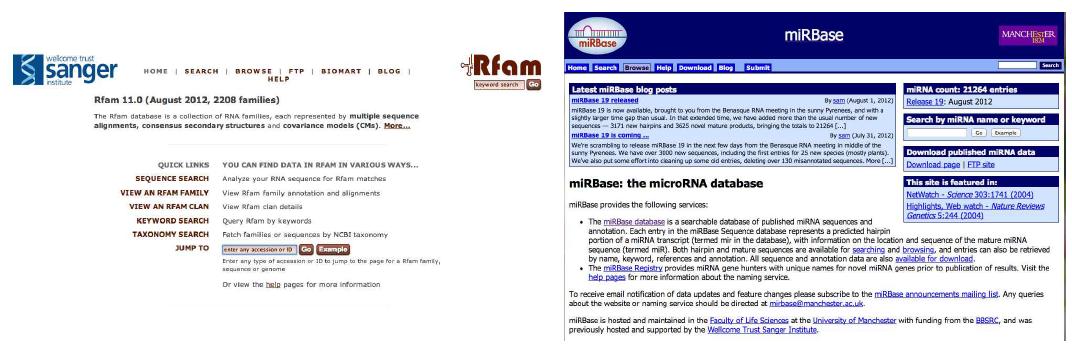 Small RNA analysis databases