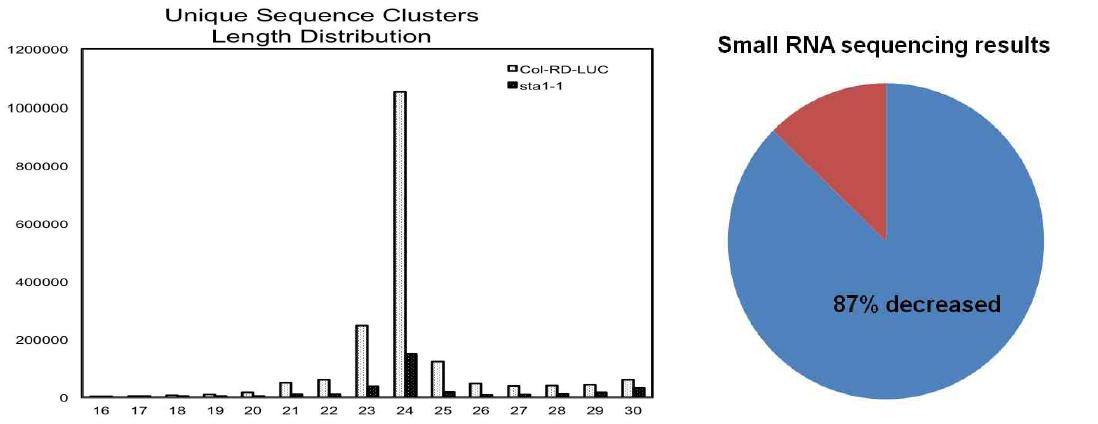 Small RNA sequencing results