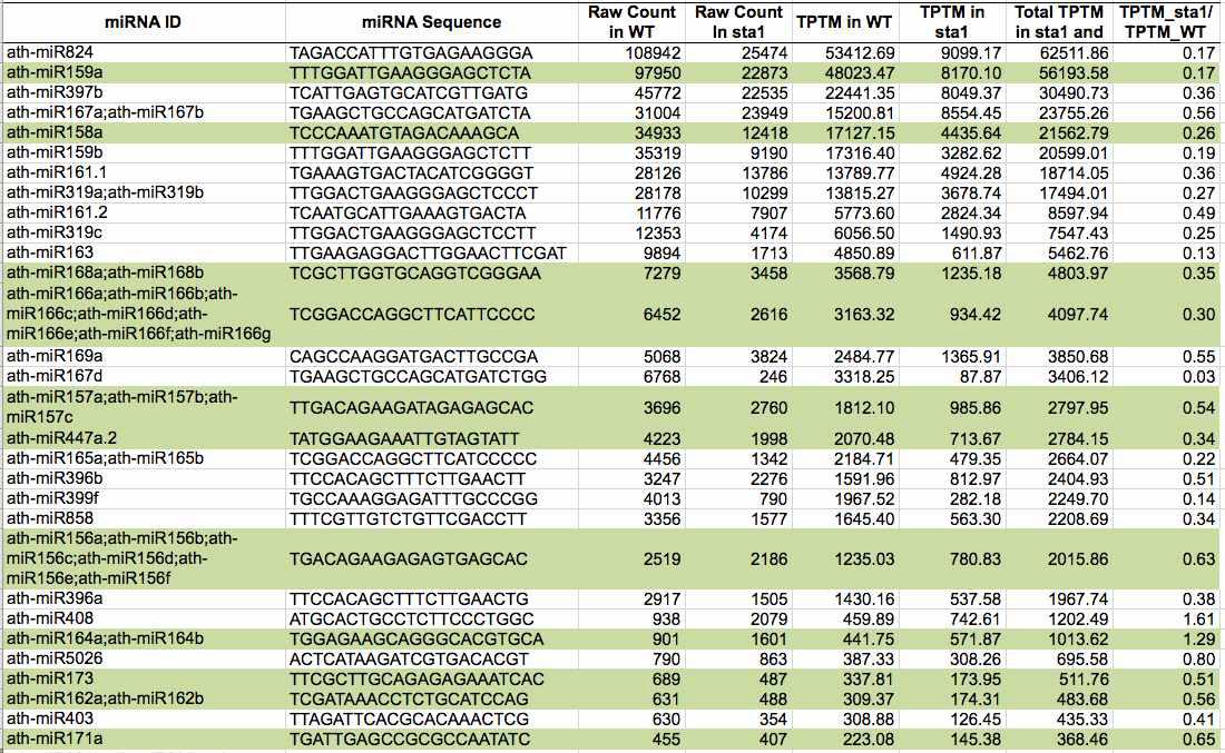 sta1-1의 small RNA 염기서열 분석결과