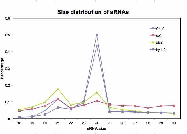 Size distribution of small RNA