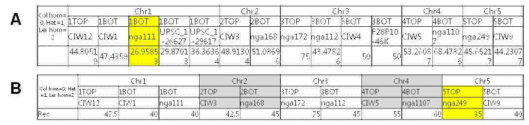 (A)잎의 변병을 가지고 mapping한 결과와 (B) Luminescece를 이용한 mapping결과 비교