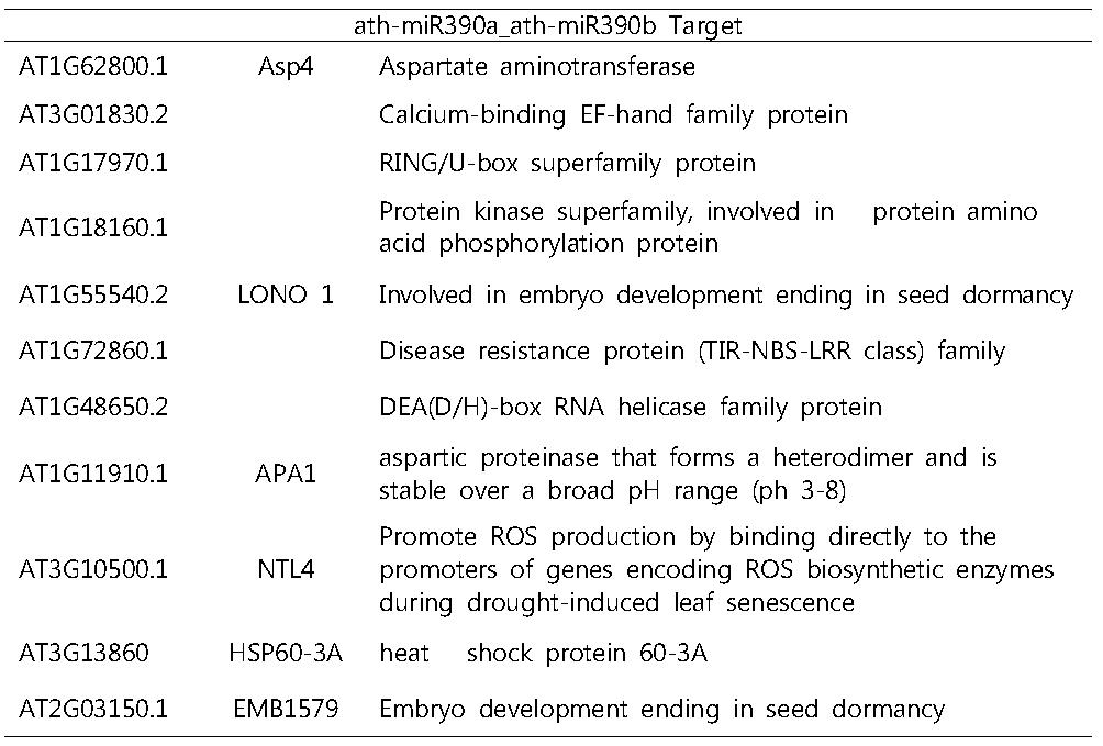 miR390a에 의해 조절이 될 것으로 예측되는 target 유전자들