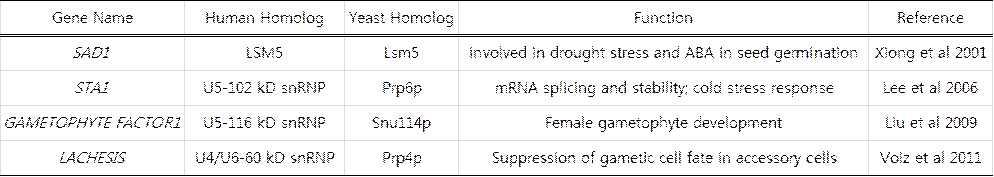 Spliceosomal protein 결함 돌연변이로 이들의 생물학적 기능이 밝혀진 유전자