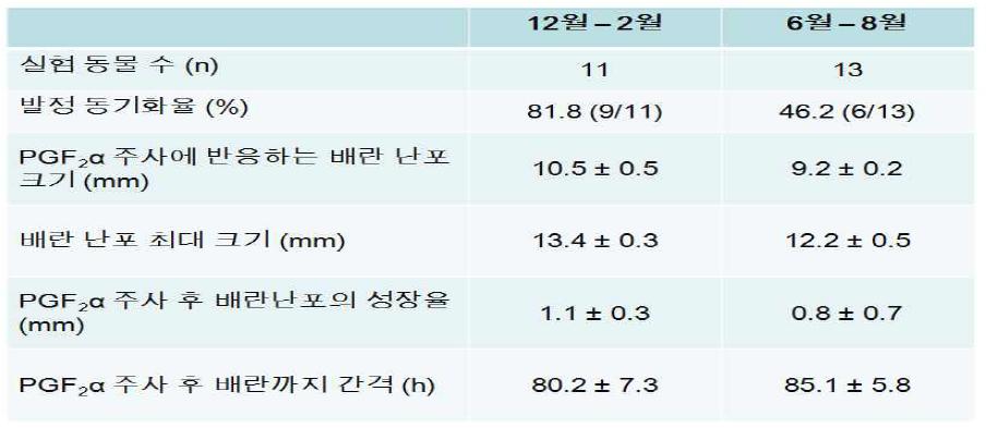 계절별(저온기/고온기) 젖소 발정동기화 및 난포발육/배란 분석