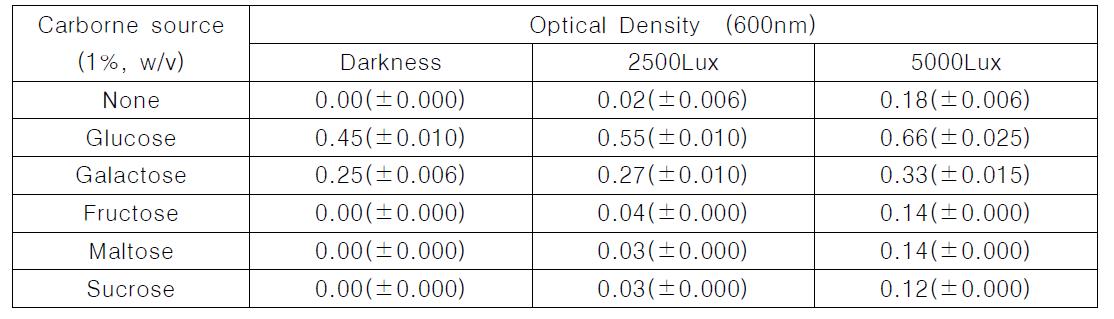 빛의 세기와 탄소원의 종류에 따른 클로렐라 생육차이