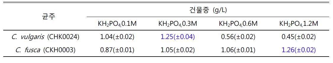 기본배지의 인산(KH2PO4)의 농도에 따른 Chlorella vulgaris, CHK0024 균주와 Chlorella fusca CHK0003 균주의 건물중 비교