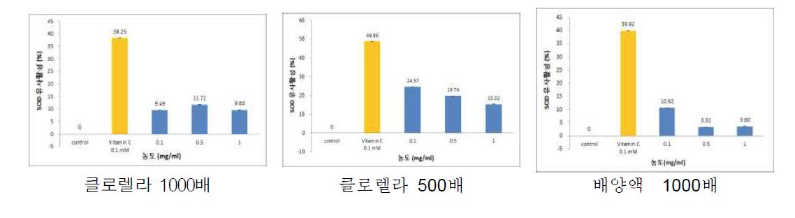 클로렐라(Chlorella fusca, CKH0003) 처리에 따른 콩나물(풍산콩)의 활성산소 소거능 (SOD) 비교분석