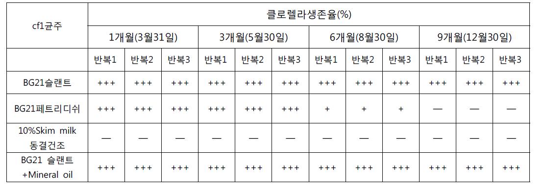 CF1 클로렐라균주 고체배지보존방법에 보존기간별 생존율