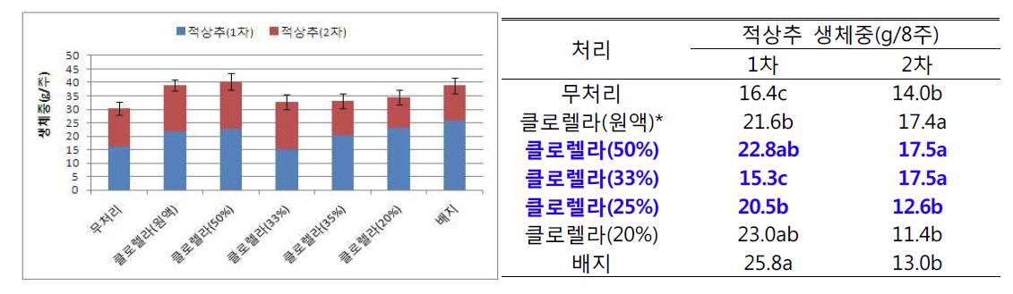 클로렐라 처리농도에 따른 상추 생체중 비교