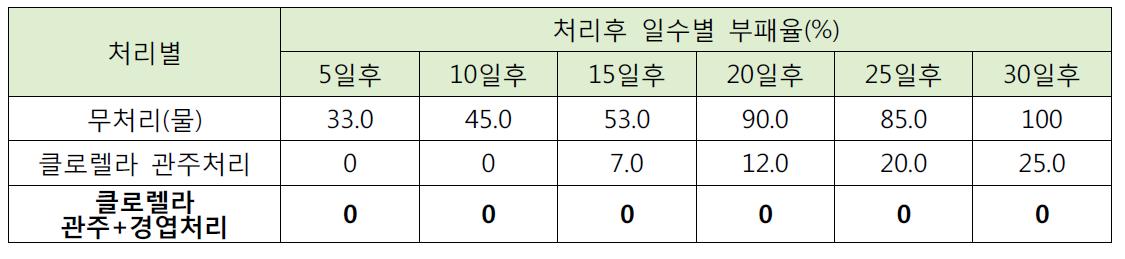 엽채류 클로렐라 엽면처리에 의한 저장성 향상효과