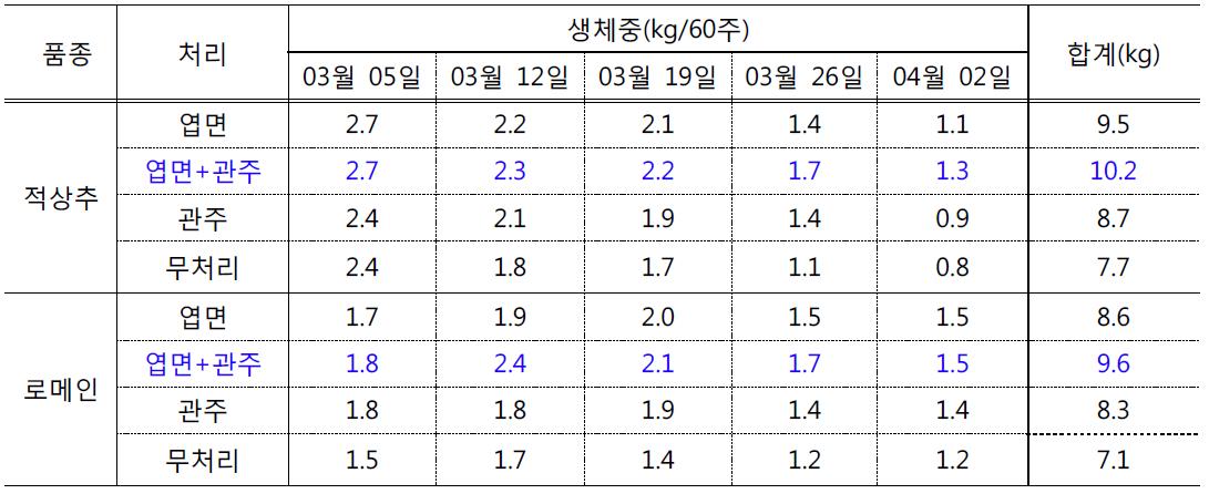 클로렐라 처리방법에 따른 상추의 생육비교