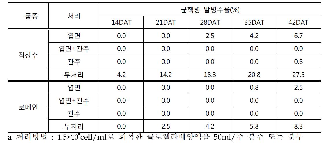 클로렐라 처리방법에 따른 상추의 균핵병발생 경감효과