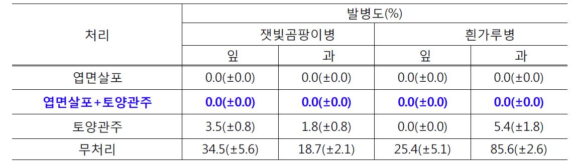 클로렐라 처리방법에 따른 딸기의 병발생 경감효과