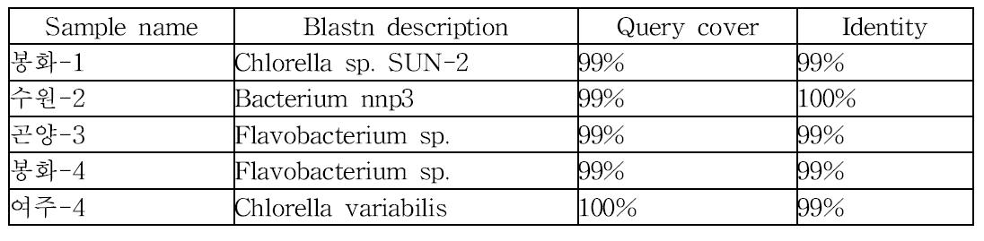 무균 배양 클로렐라에서 추출된 핵산을 주형으로 하여 수행된 PCR 결과 나타난 PCR product의 annotation