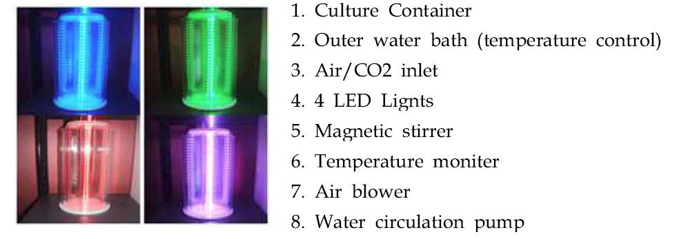 LED광원을 이용한 유가식 배양 시스템