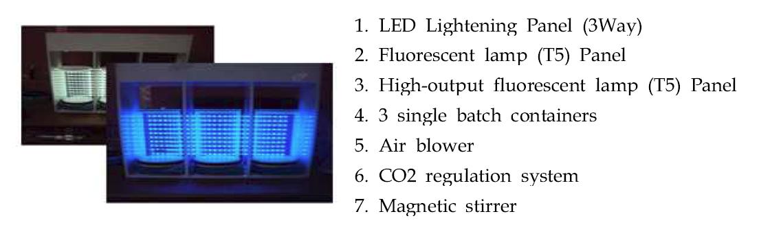 고출력 LED광원을 이용한 유가식 배양 시스템