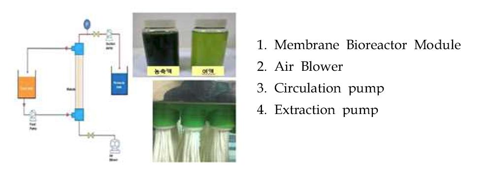 클로렐라 배양액 회수를 위한 농축 시스템