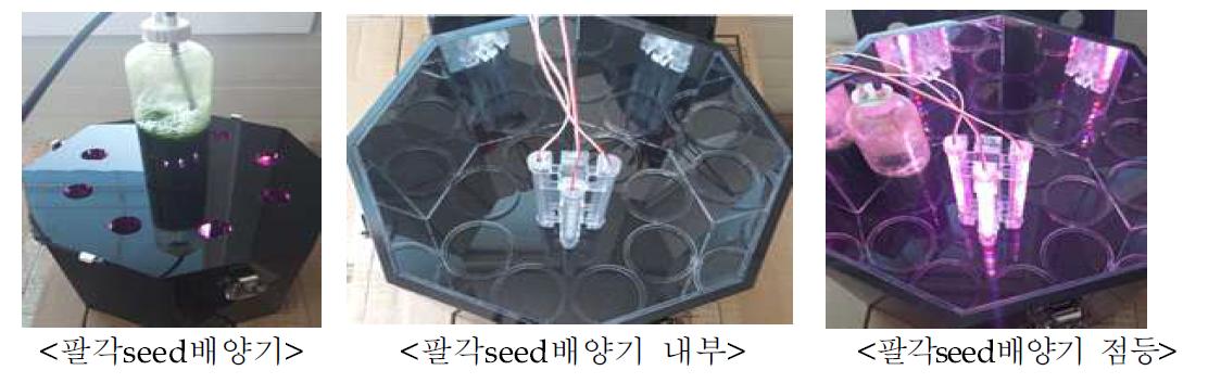 클로렐라 농가별 자가배양을 위한 seed 배양