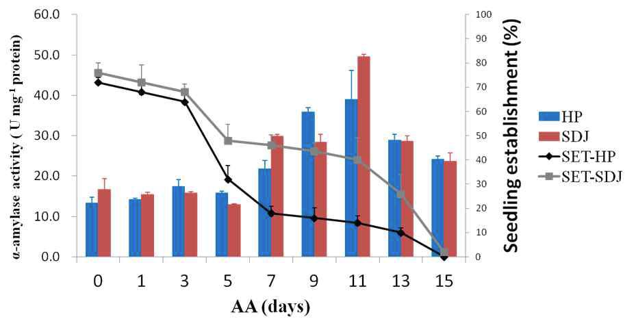 Accelerated aging(AA)처리 후 α-Amylase 활성