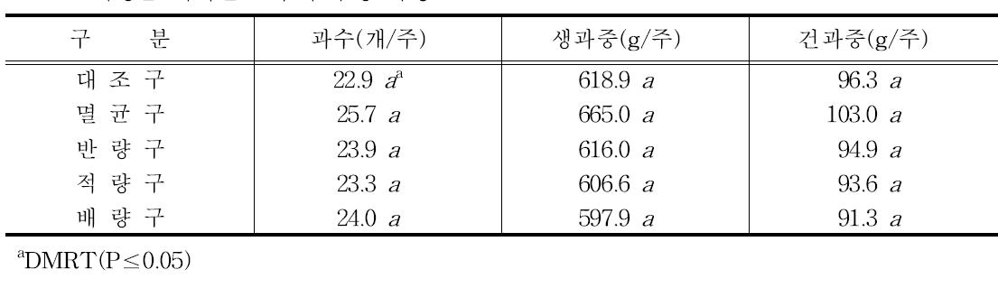 미생물 처리별 고추의 수량 특성