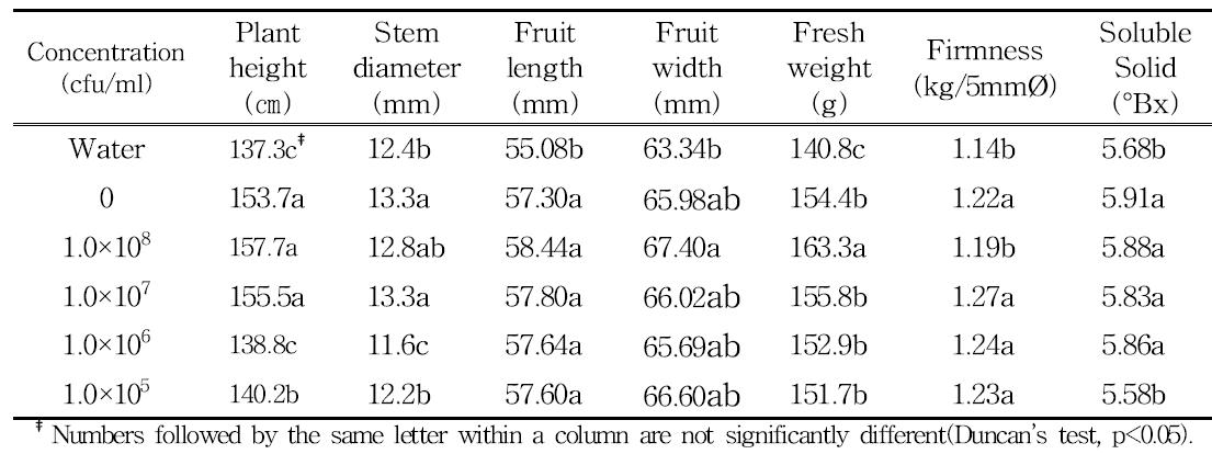 Growth characteristics of tomato as affected by the Bacillus subtilis S37-2 into the compost at 60days after transplanting in pot cultivation