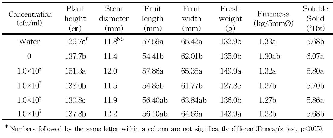 Growth characteristics of tomato as affected by the Pseudomonas sp. CL1 into the compost at 60days after transplanting in pot cultivation