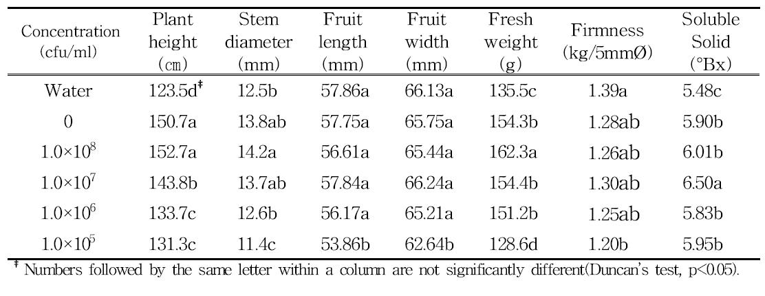 Growth characteristics of tomato as affected by the Kluyvera sp. CL2 into the compost at 60days after transplanting in pot cultivation