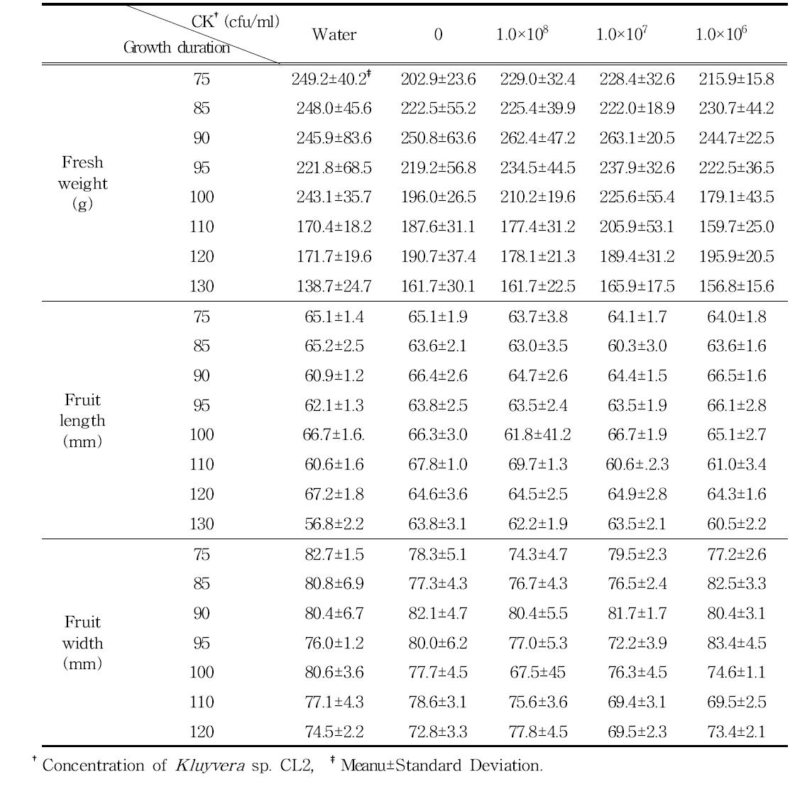 Fresh weight, length and width in tomato as affected by the Kluyvera sp. CL2