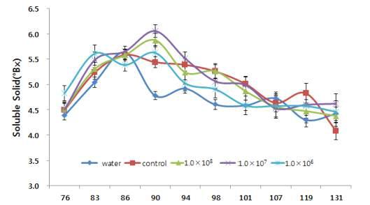 Soluble solids in tomato as affected by the Kluyvera sp. CL2