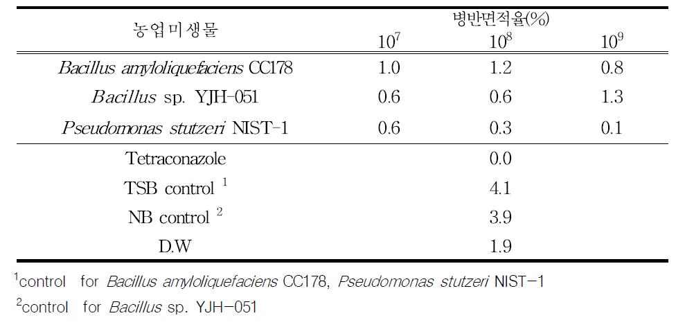 농업미생물의 예방적 처리에 의한 흰가루병 방제 효과