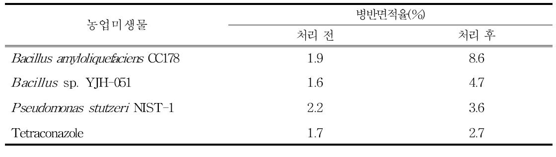 농업미생물의 흰가루병 발병 후 처리 효과