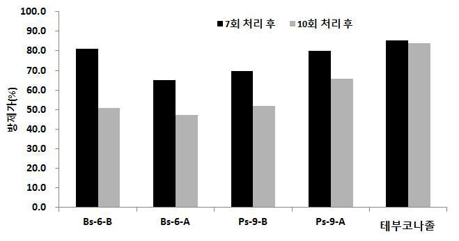 농업미생물 처리별 고추 흰가루병에 대한 방제가