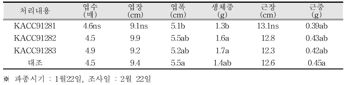 미생물별 상추 육묘상 생육특성