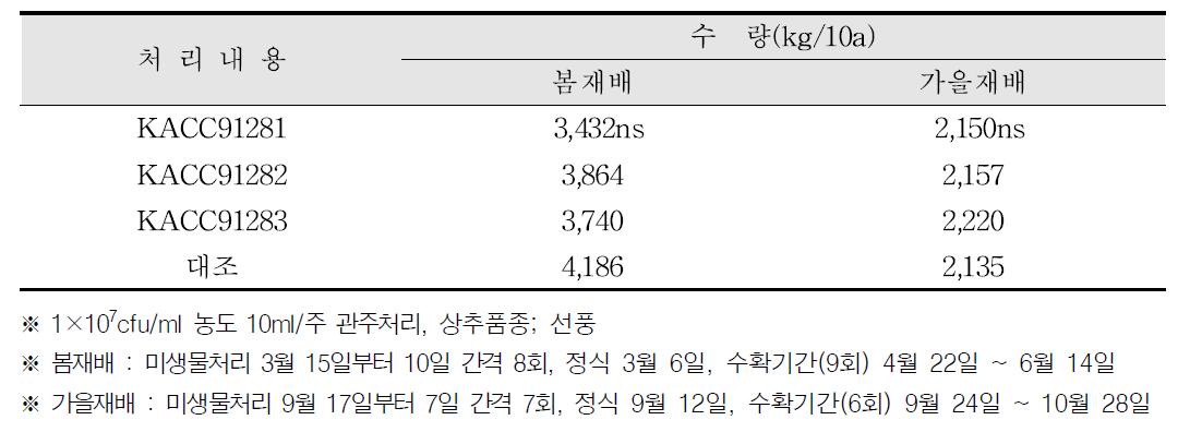 미생물 처리에 따른 상추 수량