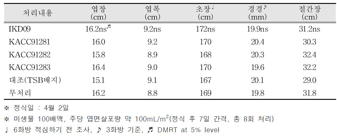 지상부 생육조사(토마토 엽면살포)