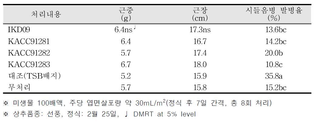 지하부 생육 및 시들음병 발병율(상추 엽면살포 / 봄재배)