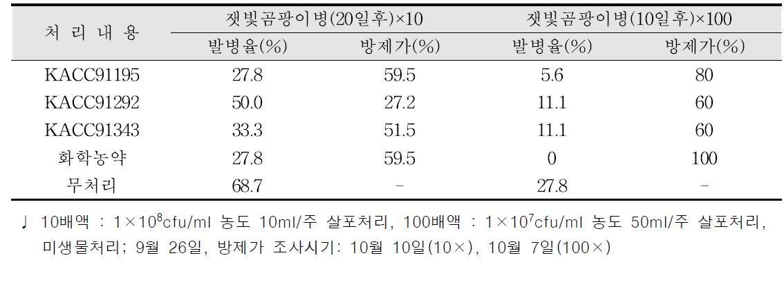 상추잿빛곰팡이병에 대한 방제효과