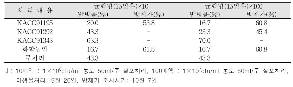 상추균핵병에 대한 방제효과