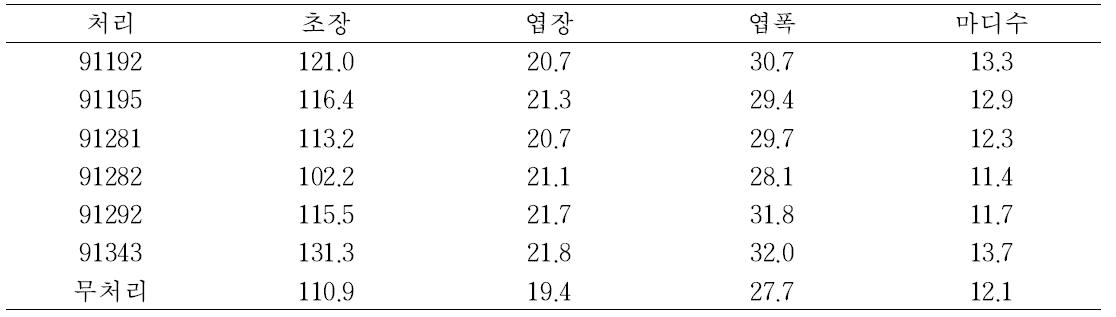 오이 관주처리에 의한 생육